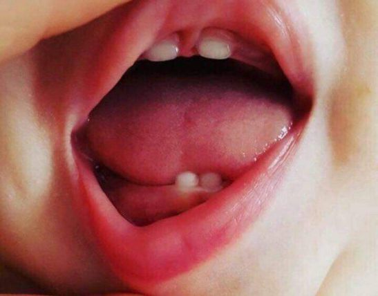 عاطفه الهویی نظری